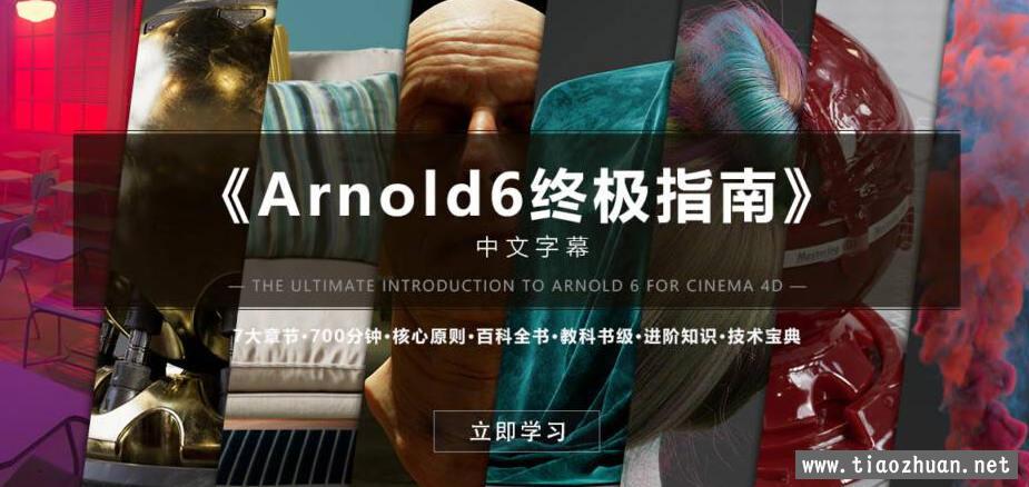 Arnold6 阿诺德终极指南【中文字幕画质高清有工程文件】