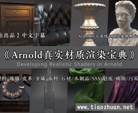 Arnold 阿诺德真实材质宝典【画质高清中文有工程文件】