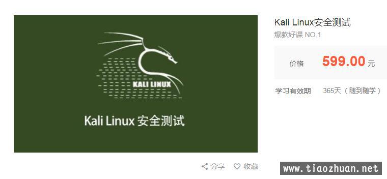 KaLi Linux渗透网络攻击安全测试 (完整版)