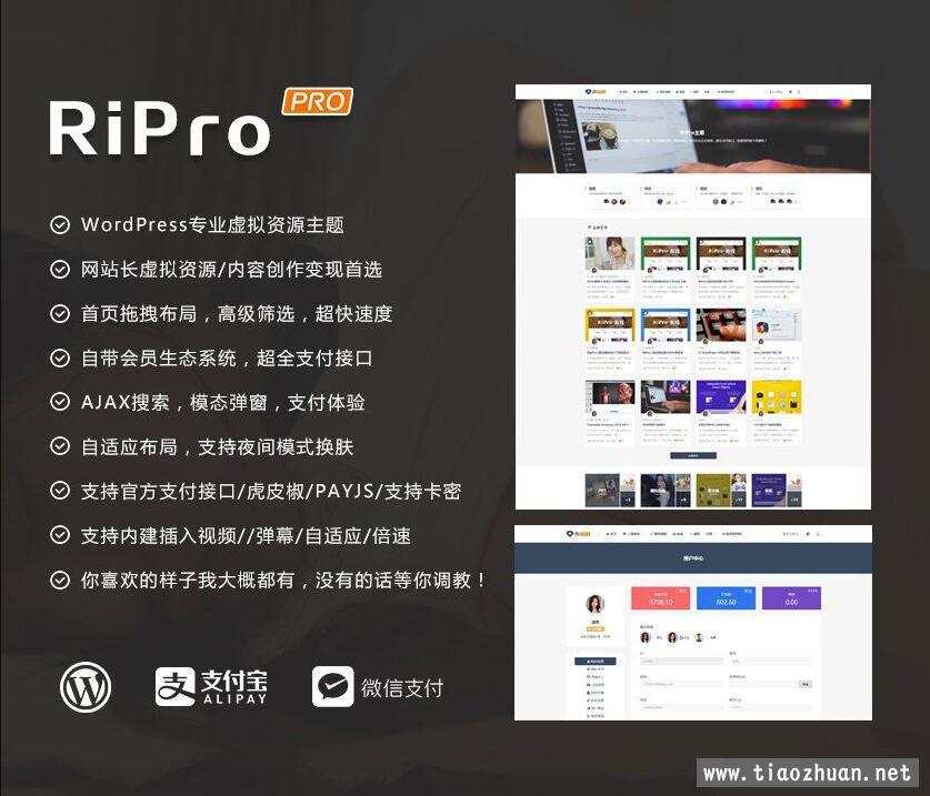 WordPress主题RiPro v8.6 无限制版