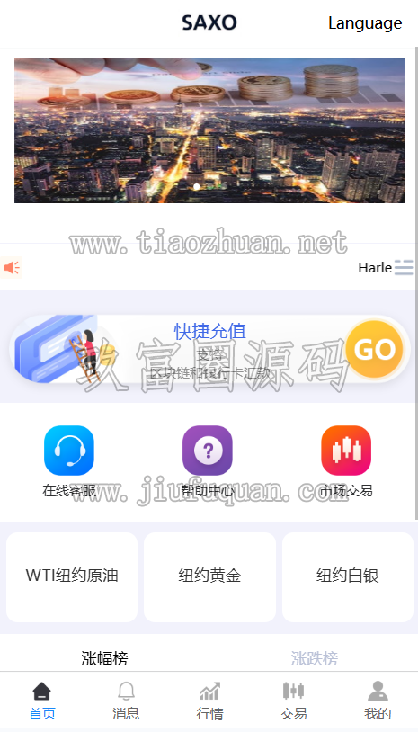 海外8国语言外汇纽约黄金原油白银前端vue带源码