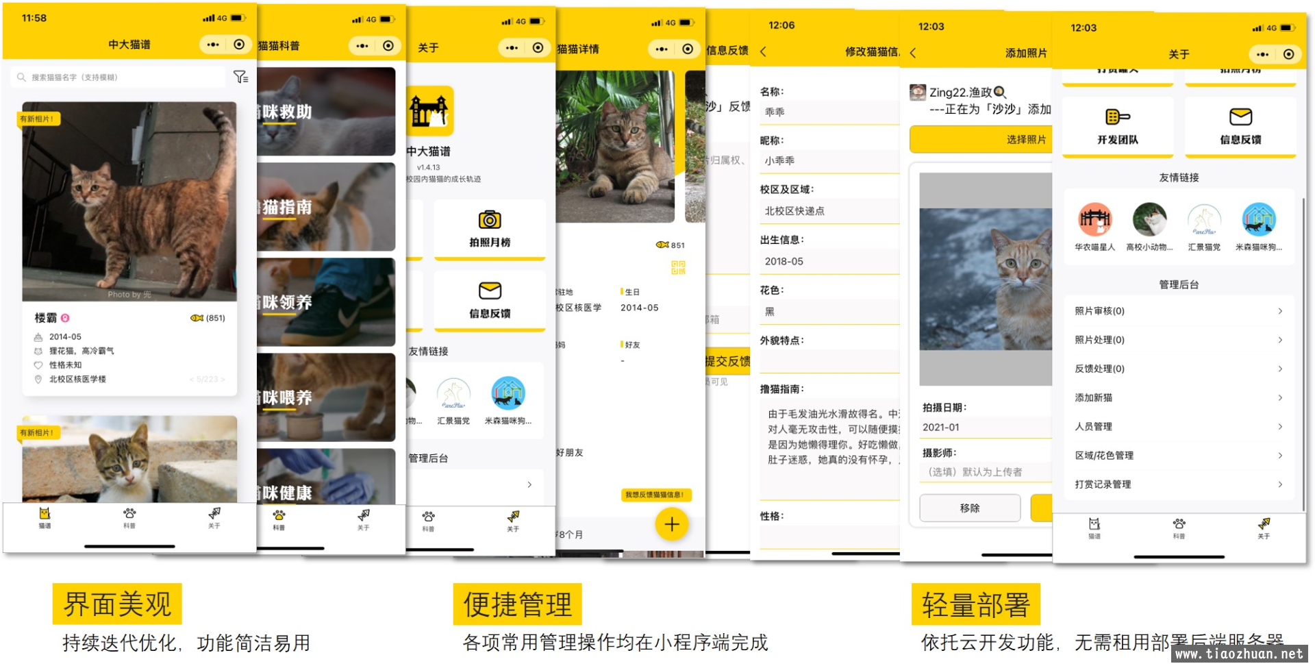 校园流浪猫信息记录和分享的小程序源码